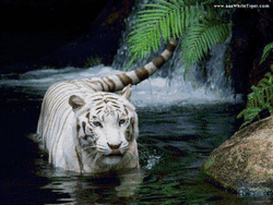 Тигр - кошки, озеро, лес - предпросмотр