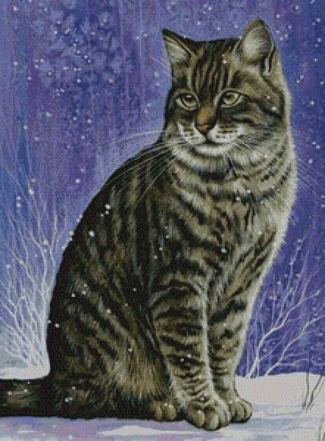 Зимний кот - зима, снег, кот, котенок, коты, животные - предпросмотр