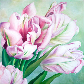 нежные тюльпаны - букет, розовые тюльпаны, цветы - оригинал