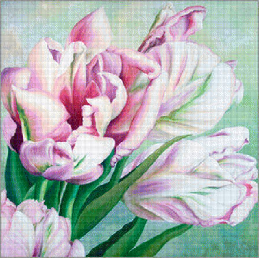 нежные тюльпаны - цветы, розовые тюльпаны, букет - предпросмотр