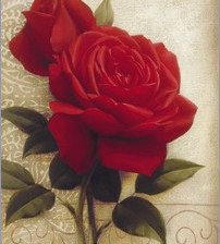 Оригинал схемы вышивки «бархатная роза» (№1168359)