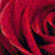 Предпросмотр схемы вышивки «бархатная роза» (№1168378)