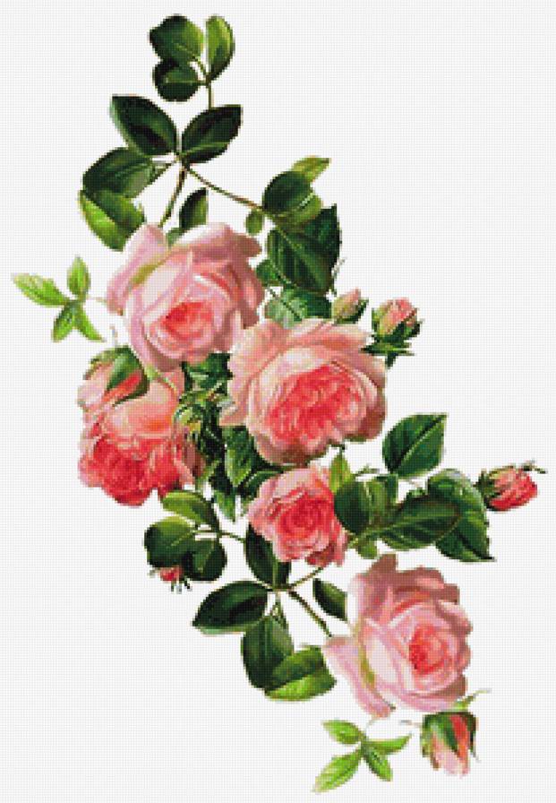 Розовая ветвь - цветы, панель, розовые цветы, панно, природа, букет, розы - предпросмотр