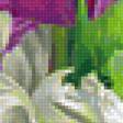 Предпросмотр схемы вышивки «Пионы и тюльпаны» (№1169772)