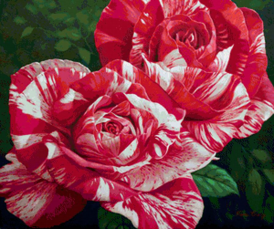 Прекрасные розочки - красные цветы, живопись, природа, розы, цветы, букет - предпросмотр