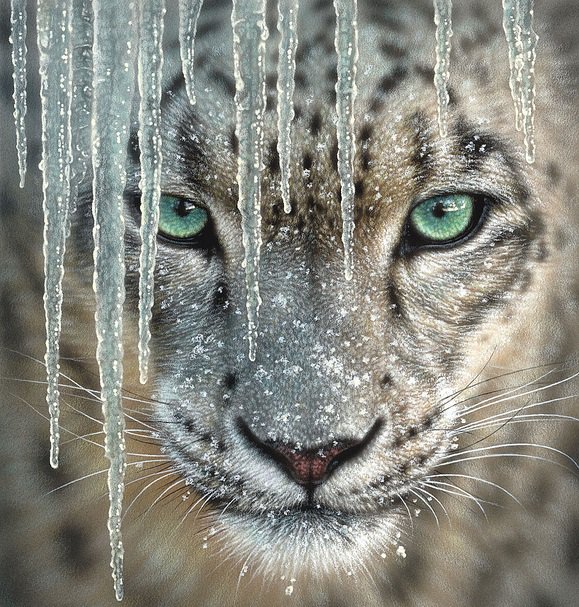 Глаза цвета лета - зеленые глаза, глаза, взгляд хищника, зима, кошки, сосульки, снег - оригинал