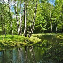 Схема вышивки «лес»