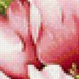 Предпросмотр схемы вышивки «розовые пионы» (№1171877)