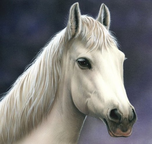 Белая лошадка - живопись, животные, природа, кони, белая лошадь, лошади - оригинал