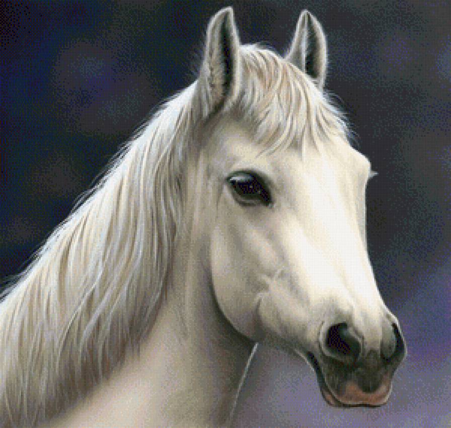 Белая лошадка - природа, белая лошадь, живопись, животные, кони, лошади - предпросмотр