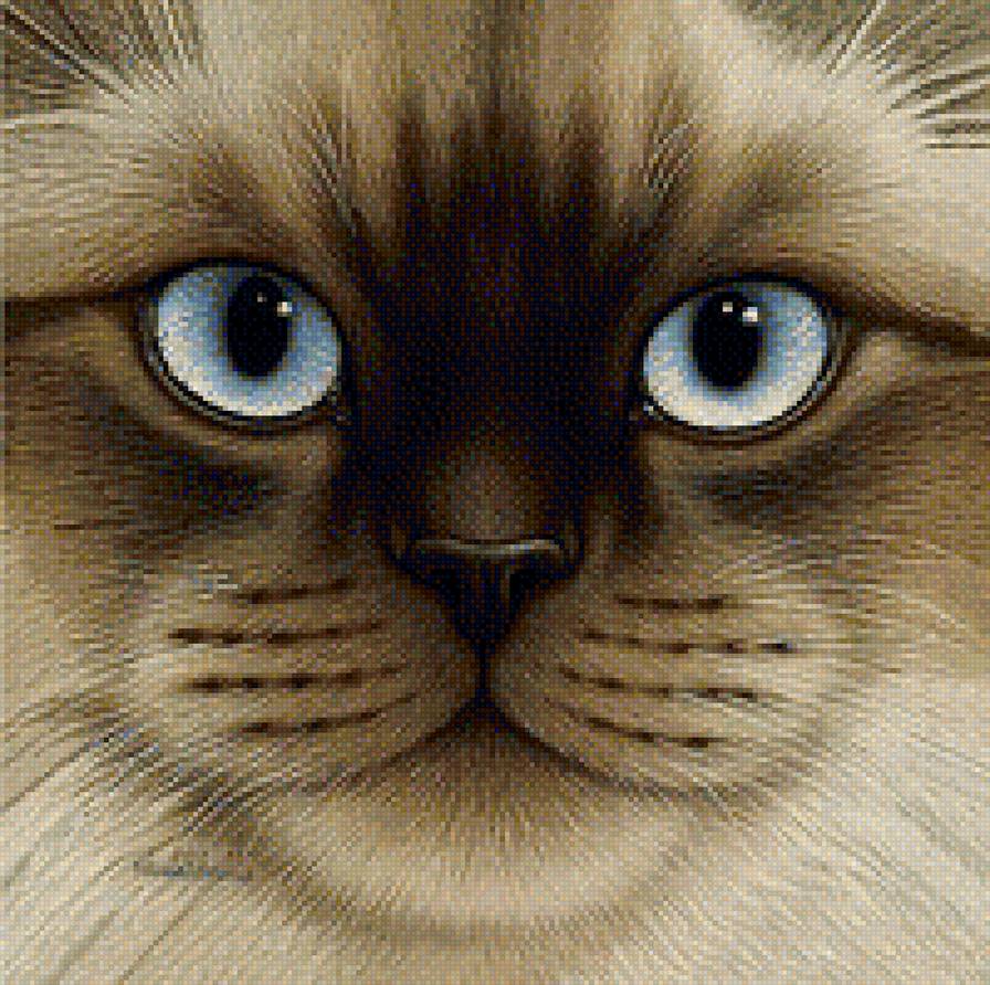 глазки-1 - кошки - предпросмотр