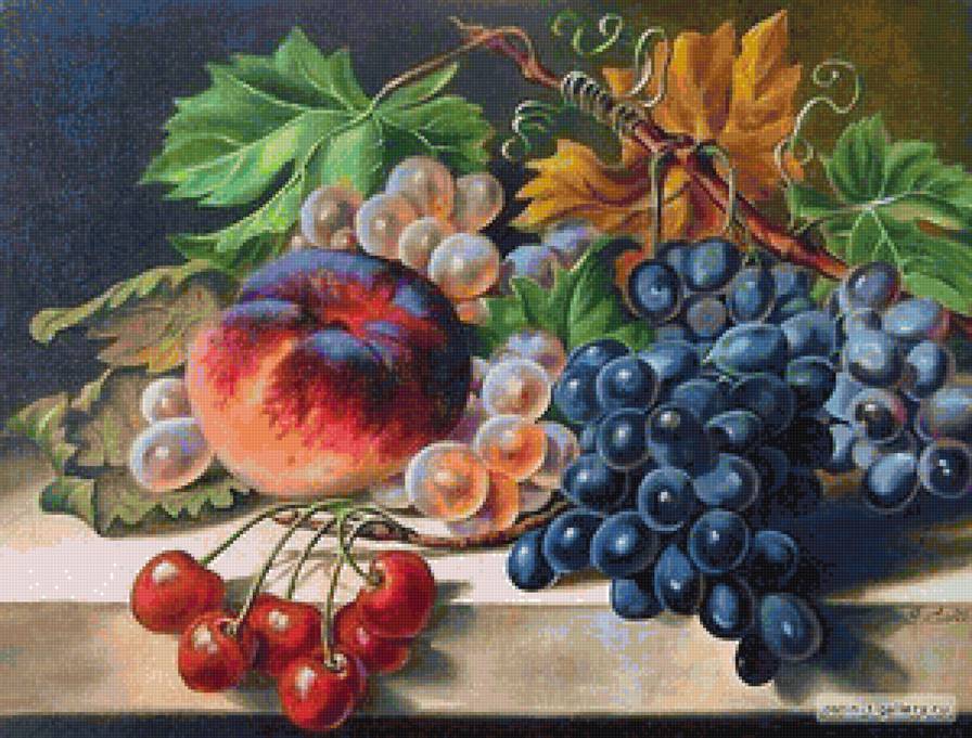 натюрморт - ягоды, натюрморт, виноград, фрукты - предпросмотр