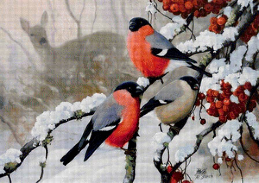 Снегири - зима, птицы - предпросмотр