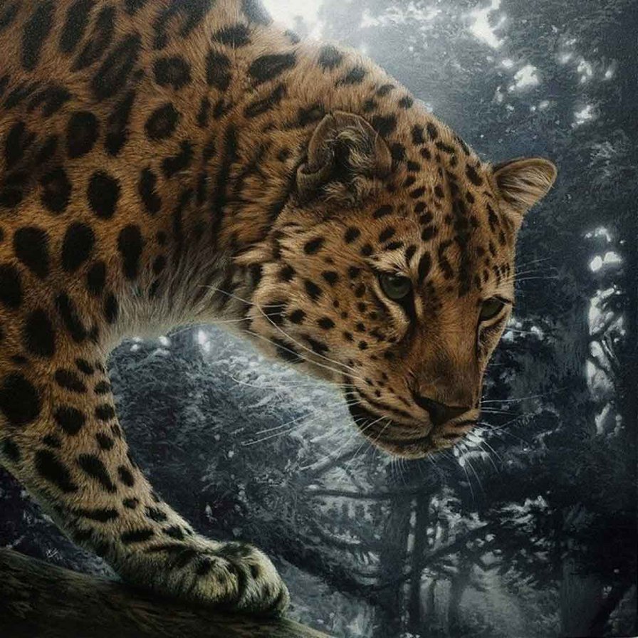 Леопард - охота, лес, хищники, леопард - оригинал