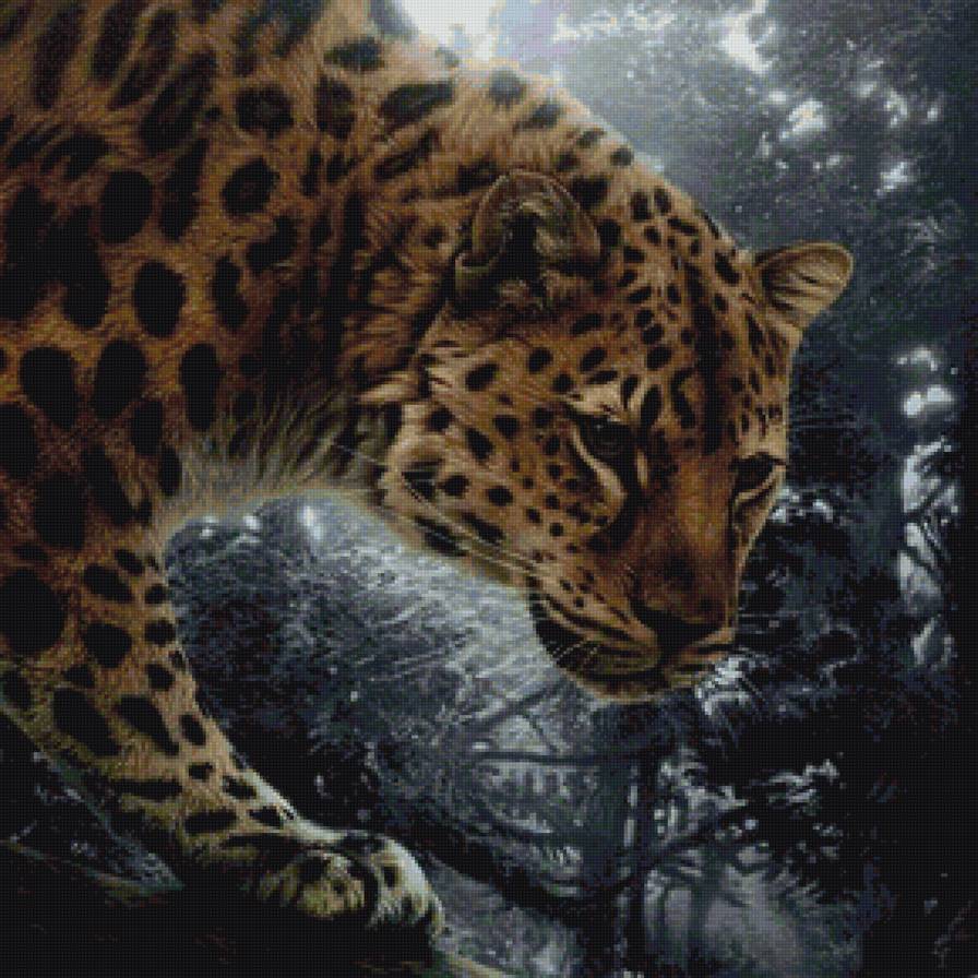 Леопард - лес, леопард, хищники, охота - предпросмотр