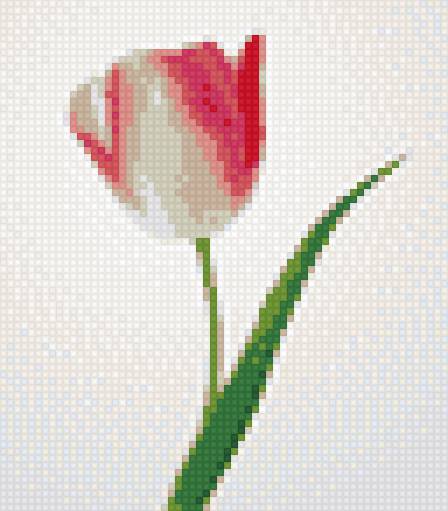 Тюльпан - цветы тюльпан - предпросмотр