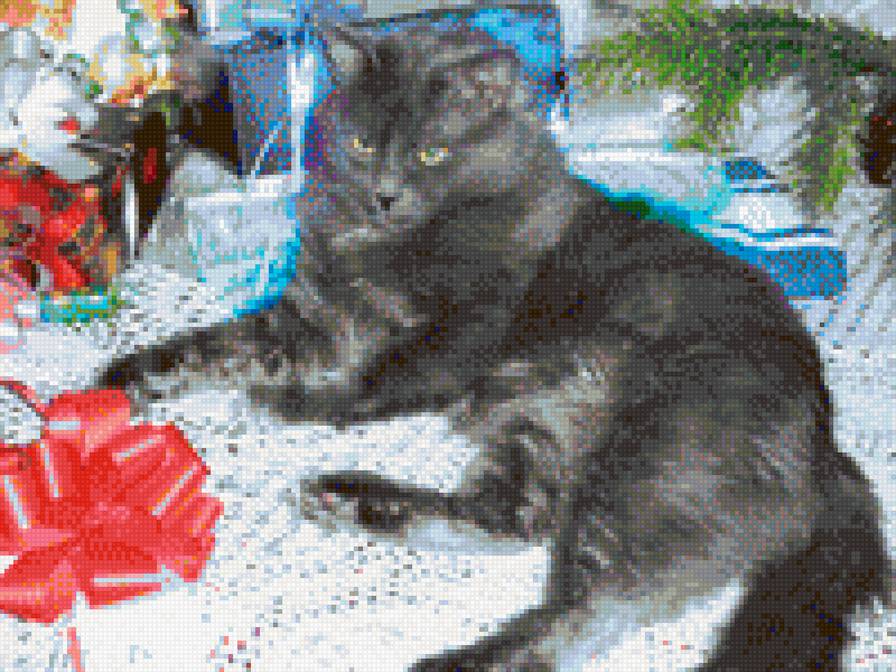 Серый котик - кот, тимка, вышивка крестом, домашние питомцы, серый котик - предпросмотр