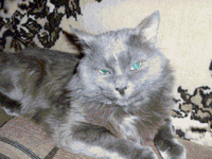 кот - вышивка крестом, серый котик, домашние питомцы, тимка, кот - предпросмотр