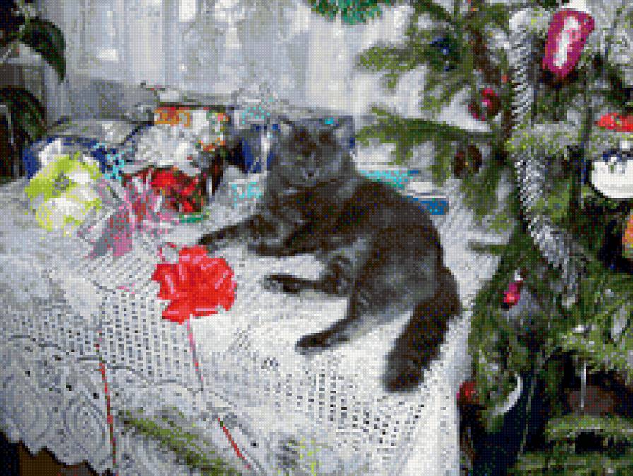 Серый котик - серый котик, вышивка крестом, домашние питомцы, тимка, кот - предпросмотр