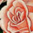 Предпросмотр схемы вышивки «розы» (№1176030)