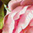 Предпросмотр схемы вышивки «цветы» (№1176173)