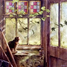 кошка у разбитого окна