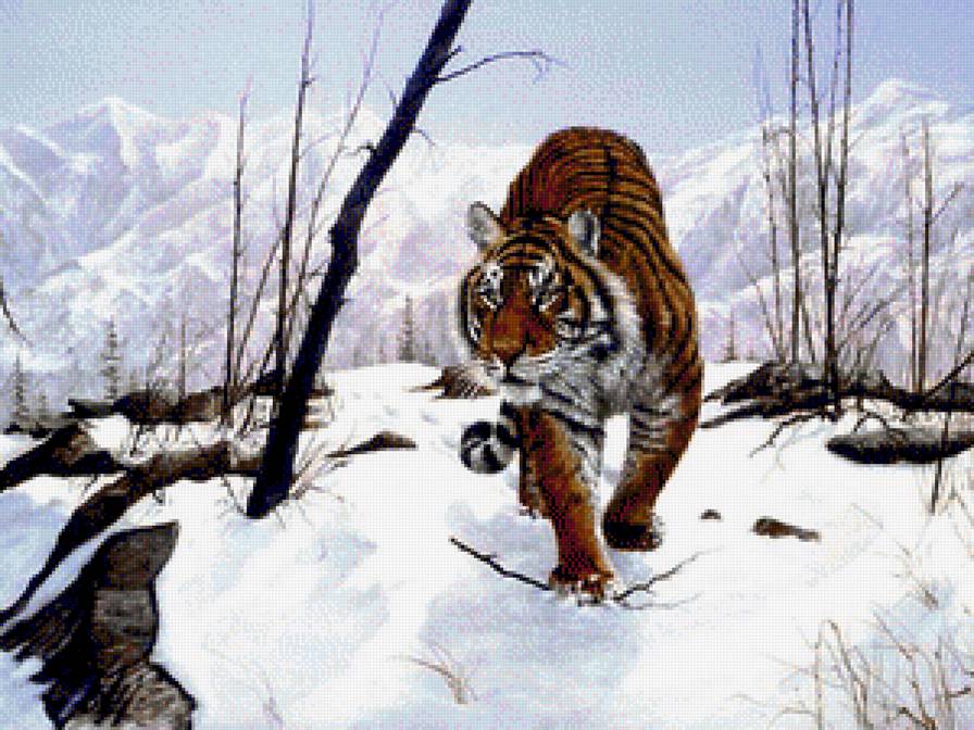 хозяин гор - животные, тигры - предпросмотр