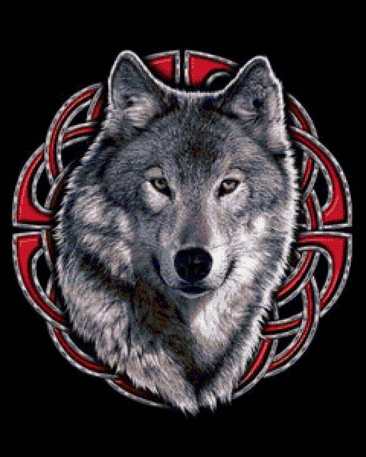 Волки - волк, природа, анималисты, животные, волки - предпросмотр
