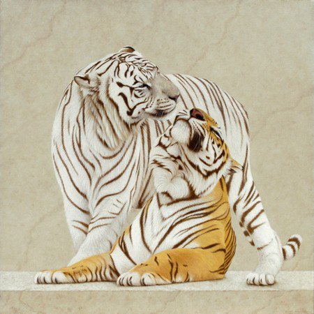 Сладкая парочка - животные, кошки, сладкая парочка, тигры, белый тигр, любовь - оригинал