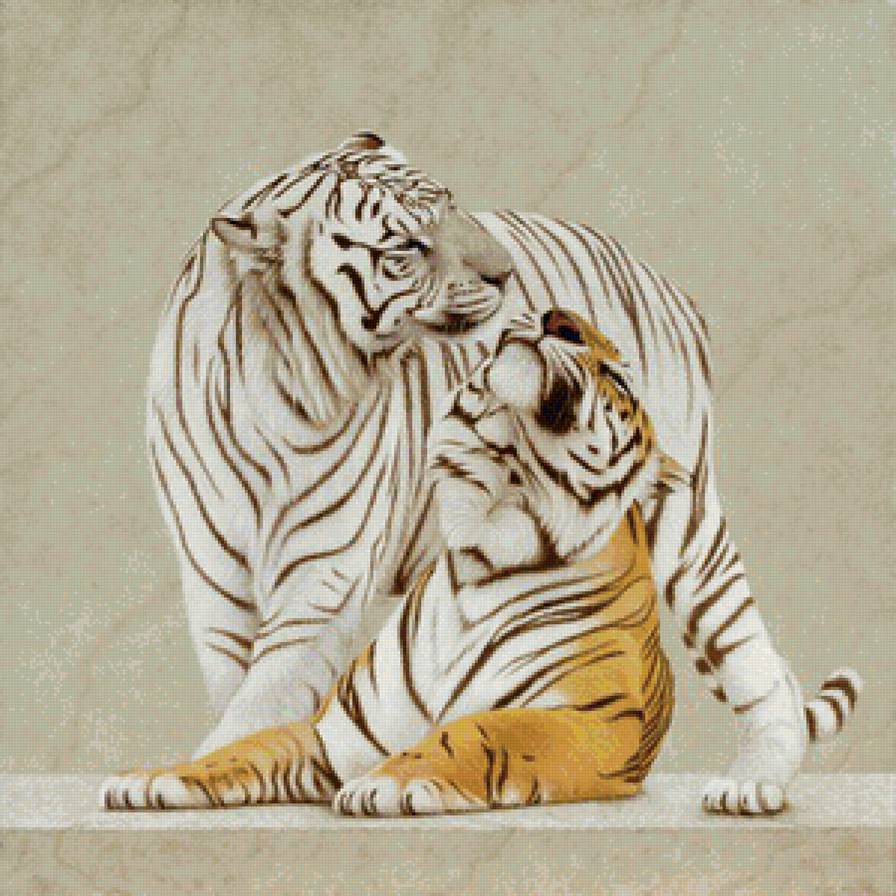 Сладкая парочка - сладкая парочка, кошки, белый тигр, любовь, тигры, животные - предпросмотр