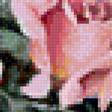 Предпросмотр схемы вышивки «акварельные розы» (№1178197)