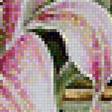 Предпросмотр схемы вышивки «лилии» (№1178895)