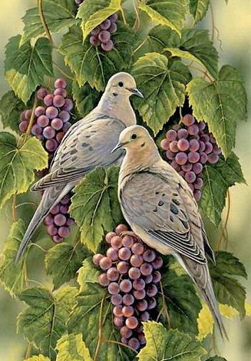 Пара голубей - виноград, птицы, ягоды, голуби - оригинал