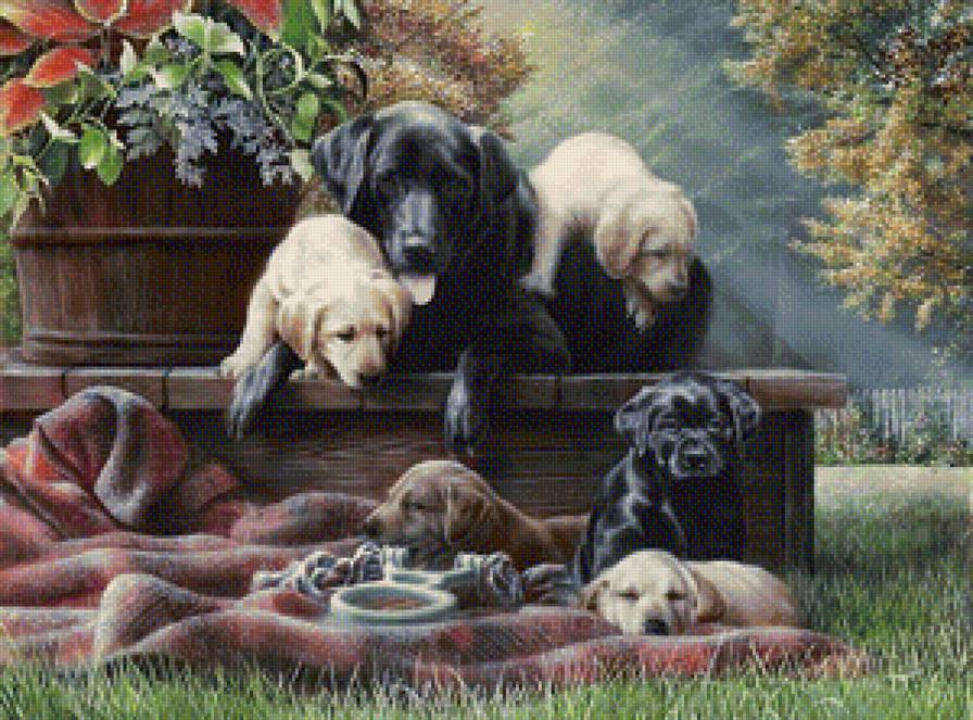 дружное семейство - собаки, картина - предпросмотр