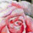 Предпросмотр схемы вышивки «розы» (№1181036)