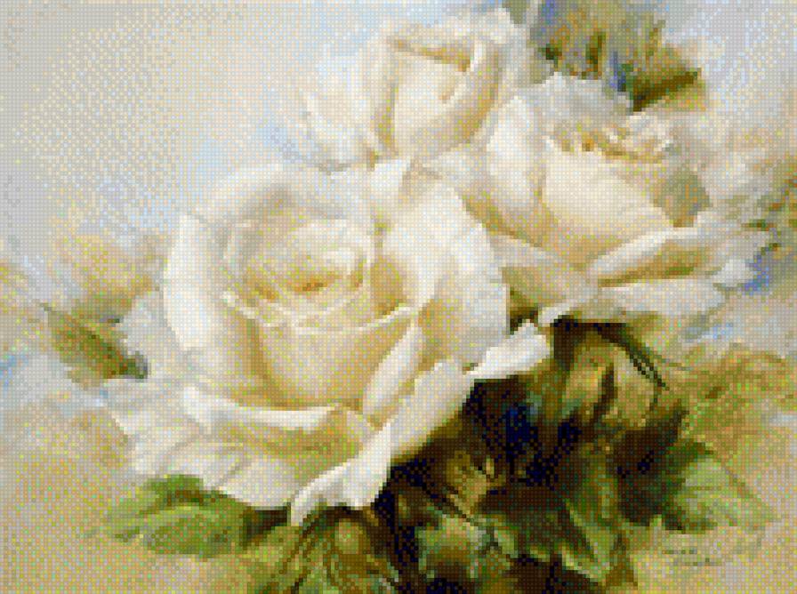 Белые розы - предпросмотр