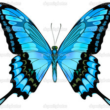 Оригинал схемы вышивки «голубая бабочка» (№1181349)