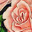 Предпросмотр схемы вышивки «роза нежная» (№1182408)
