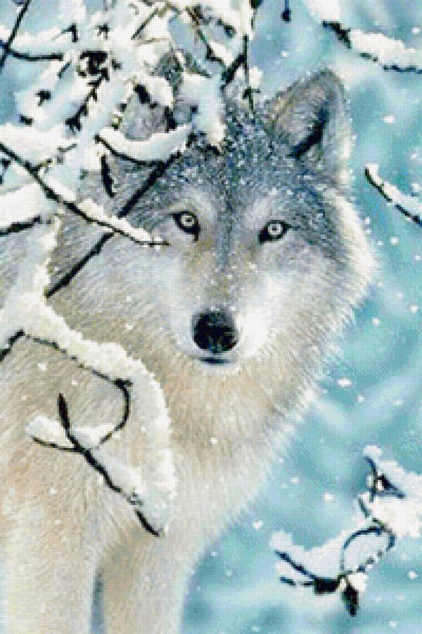 Белый волк - волк, зимний пейзаж, снег, природа, белый волк, волки, животные, зима - предпросмотр