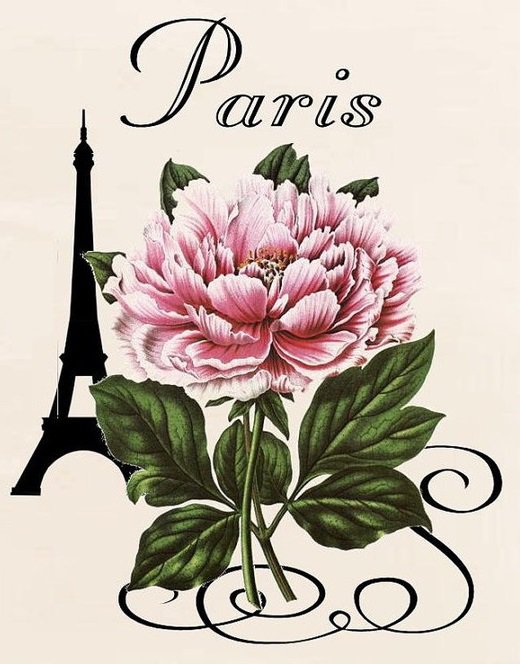 Пион - париж, цветы, франция, винтаж, эйфелева башня, пион - оригинал