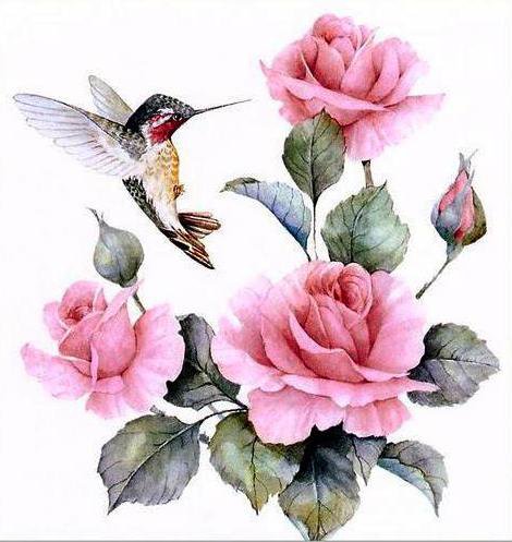 Колибри и розы - птицы, цветы - оригинал