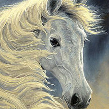 Оригинал схемы вышивки «белая лошадь» (№1183826)