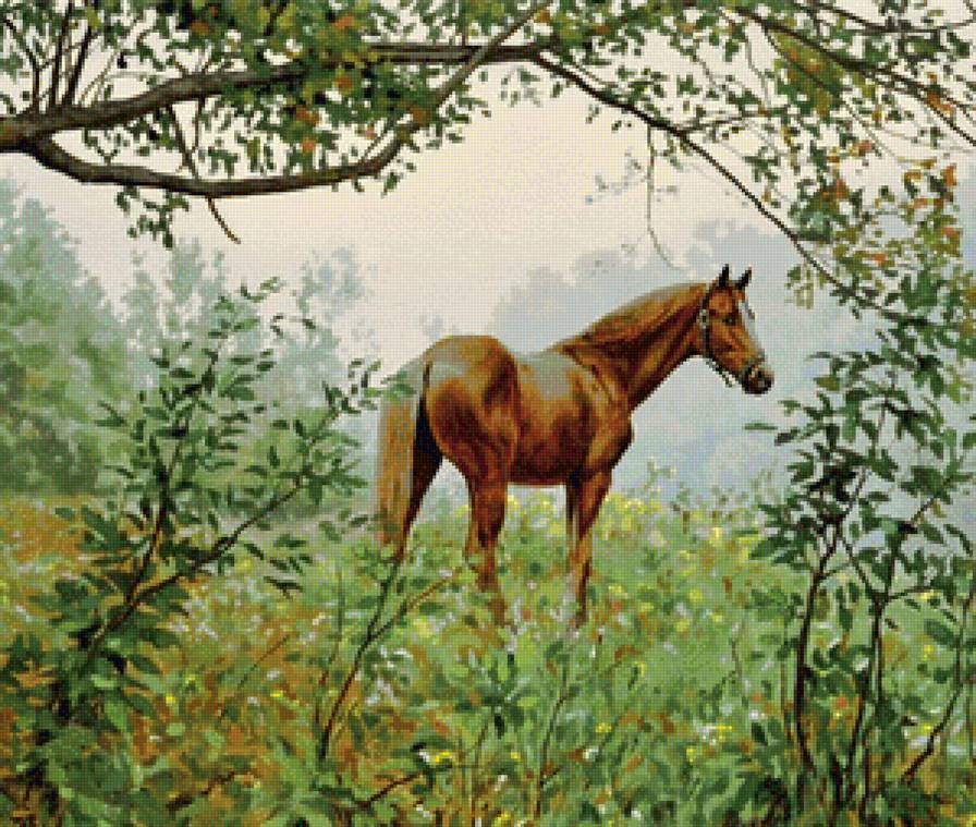 лошадка - природа, животные, лошади - предпросмотр