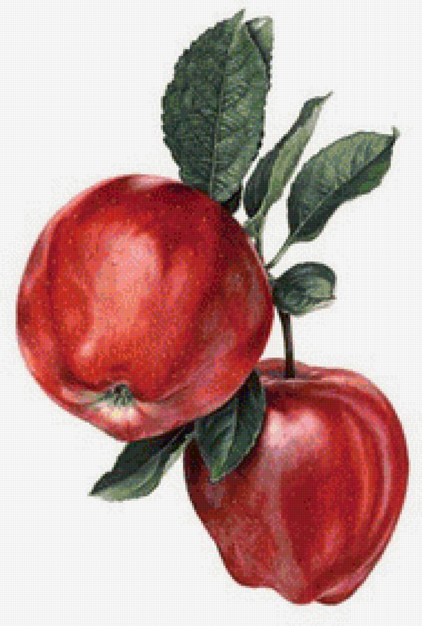 Наливные яблочки - листья, панель, фрукты, панно, натюрморт, яблоки, для кухни - предпросмотр