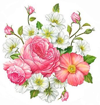 роза нежная - розовые цветы, белые цветы, розы, роза, анемоны, подушка, букет, анемон - оригинал