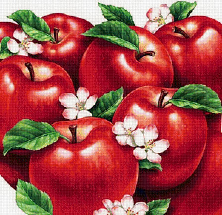 яблоки - натюрморт, фрукты - предпросмотр