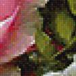 Предпросмотр схемы вышивки «розы» (№1187691)