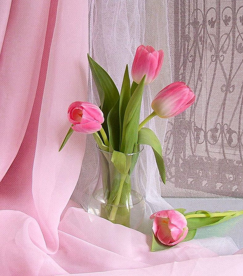 букет тюльпанов - цветы - оригинал