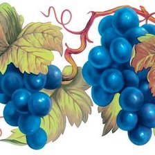 Оригинал схемы вышивки «виноградная лоза» (№1190621)