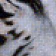 Предпросмотр схемы вышивки «тигр» (№1190839)